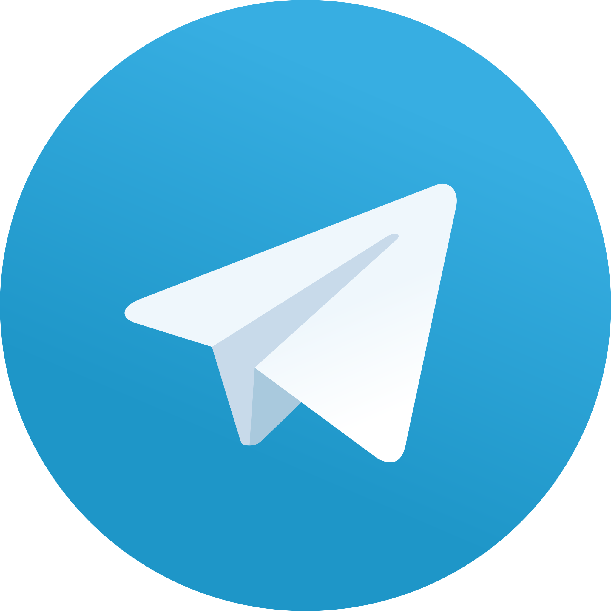 telegram logo for myvizual